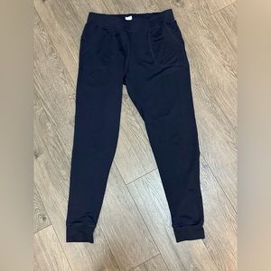 Zyia navy cozy joggers
